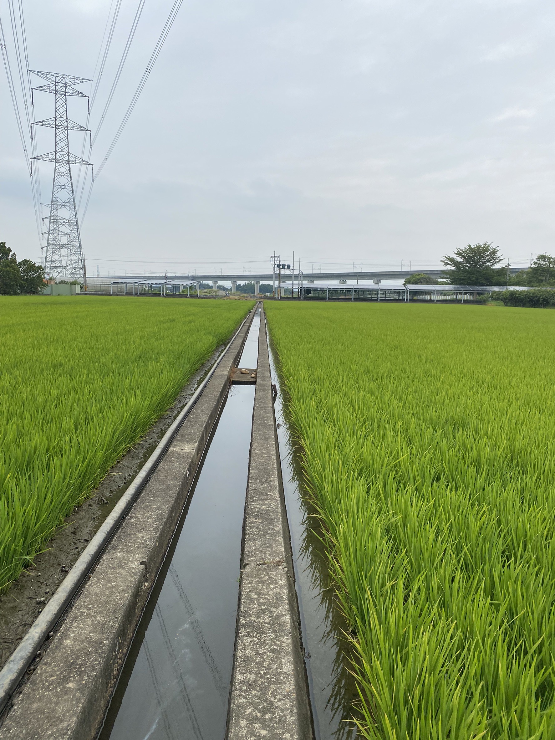 正彰南路大地坪農地