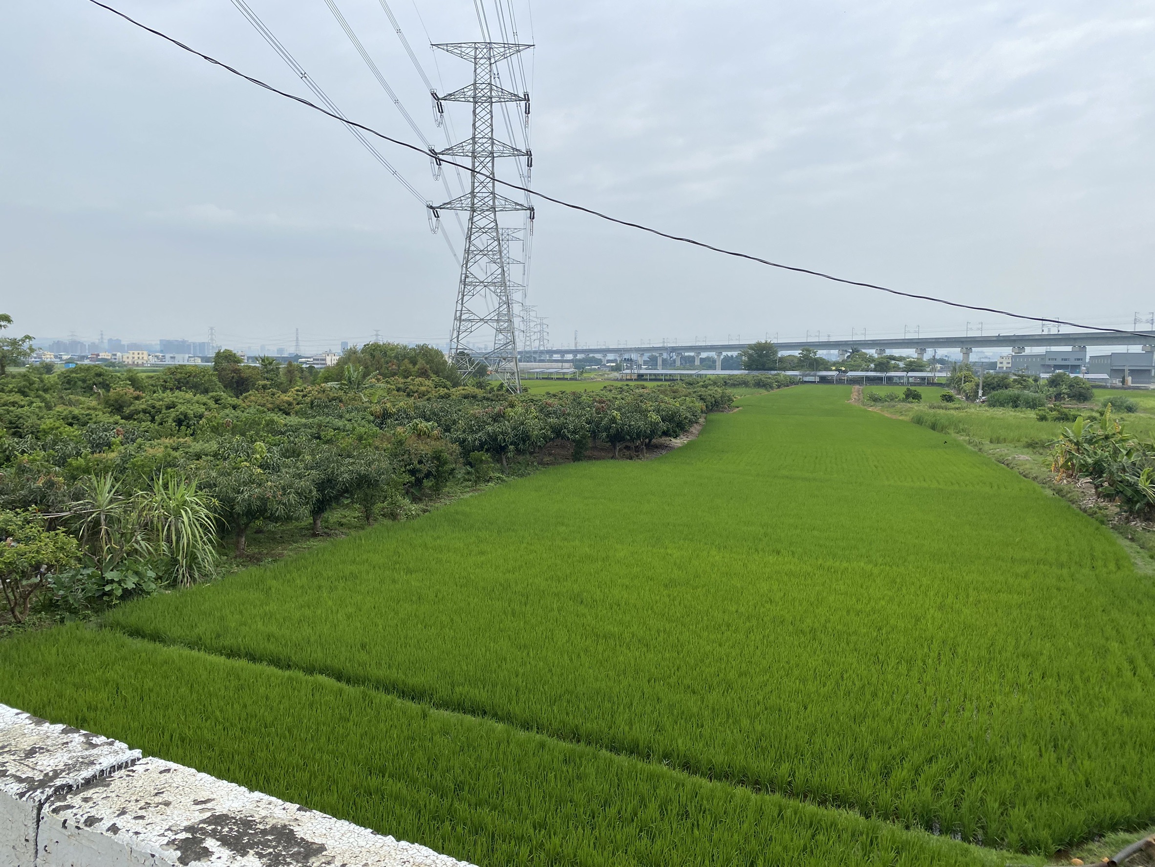 正彰南路大地坪農地